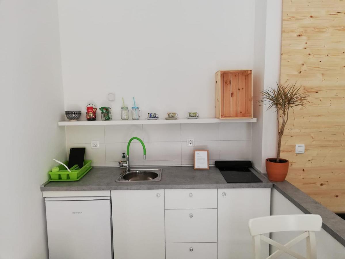 Апартаменты Studio Apartman Fleiss Самобор Экстерьер фото